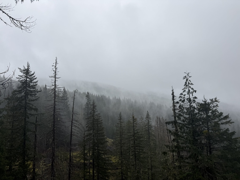 Mount Rainier in fog, second view